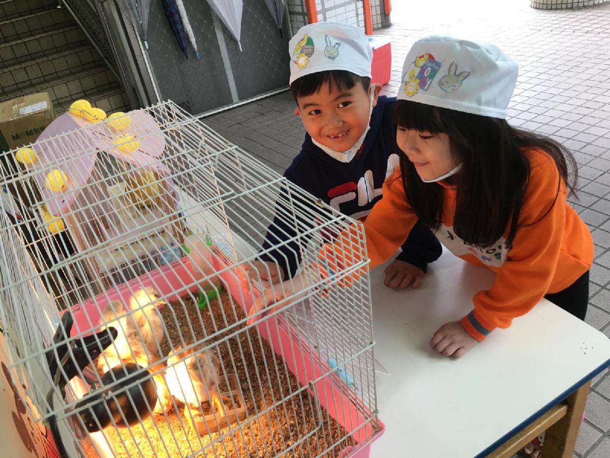 2021.03小雞來囉!!!